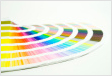 Colors for Vinyl Signs